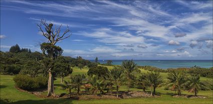 Lord Howe Island Golf Course - NSW T (PBH4 00 11798)